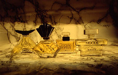 profumi trussardi soprani cavalli