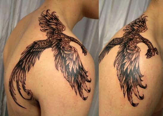 Tatuaggio-fenice-nera-sulla-spalla