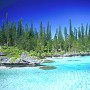Isola dei pini Nuova Caledonia