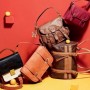 Borse Accessorize catalogo autunno inverno 2011 2012