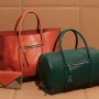 Collezione borse inverno 2011 2012 Chloe