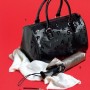 Bauletto Carpisa collezione inverno 2012