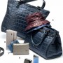 Bauletto e shoppers Carpisa inverno 2011 2012