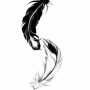 Disegno tattoo piume