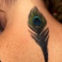 Foto tatuaggio piuma tra le scapole