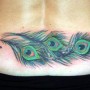 Immagine tatuaggio piume di pavone