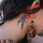 Piccolo tatuaggio piume dietro orecchio