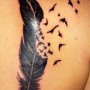 Tatuaggio piuma