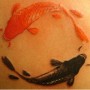 Tatuaggio pesci Koi