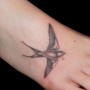 Immagine tatuaggio rondine sul piede