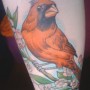 Tatuaggio colorato uccello su ramo di ciliegio