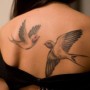 Tatuaggio rondini sulla schiena