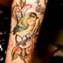 Tatuaggio uccellino colorato sul braccio