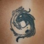 Foto tatuaggio yin e yang carpe giapponesi 90x90 - Tatuaggio yin e yang: significato e foto Foto tatuaggio yin e yang carpe giapponesi
