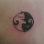 Tattoo yin e yang a forma di gatti 90x90 - Tatuaggio yin e yang: significato e foto Tattoo yin e yang a forma di gatti