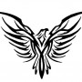 Disegno per tatuaggio aquila tribale