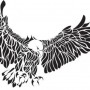 Disegno tatuaggio aquila reale stilizzata