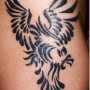 Foto tattoo aquila tribale