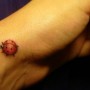 Tatuaggio piccola coccinella 3D interno polso