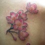 Immagine tatuaggio fiori di ciliegio sulla spalla