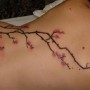 Ramo di ciliegio tatuato sulla schiena