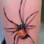 Tatuaggio ragnatela e ragno significato e foto