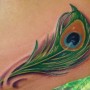 Tatuaggio piccola piuma di pavone