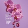 Colore moda 2014 Radiant Orchid