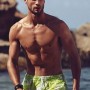 Boxer con ibiscus Hue catalogo mare Golden Point estate 2014