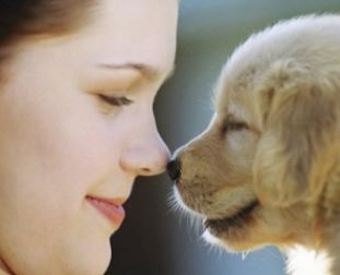 La scelta del cane di piccola taglia da tenere in casa