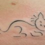 Immagine tatuaggio gatto stilizzato