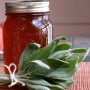 Miele e Salvia Rimedio naturale contro la tosse