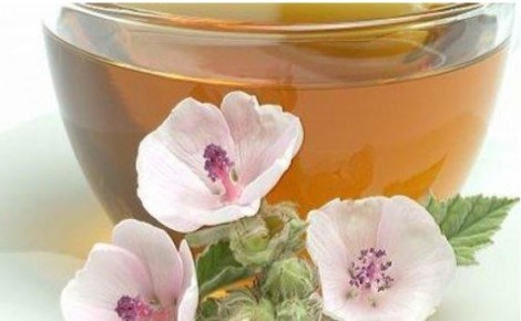 Altea Rimedio naturale contro la tosse secca