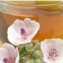 Altea Rimedio naturale contro la tosse secca