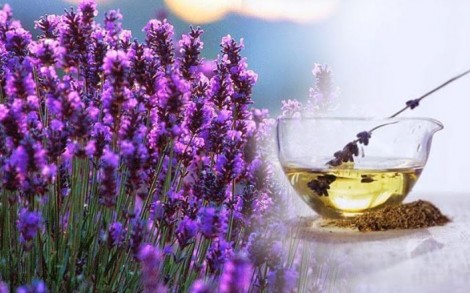 Lavanda Rimedio naturale contro la tosse secca