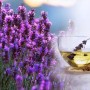 Lavanda Rimedio naturale contro la tosse secca