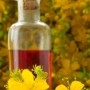 Verbasco Rimedio naturale contro la tosse