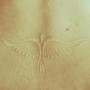 Immagine tatuaggio Fenice con inchiostro bianco