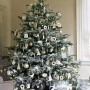 Immagini Albero di Natale 2015