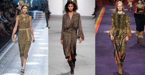 Fantasia Leopardata autunno inverno 2017 2018