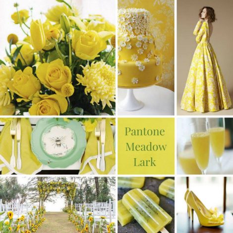 Meadow Lark Colore Moda Primavera Estate 2018
