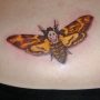 Tatuaggio Falena Testa di Morto colorata