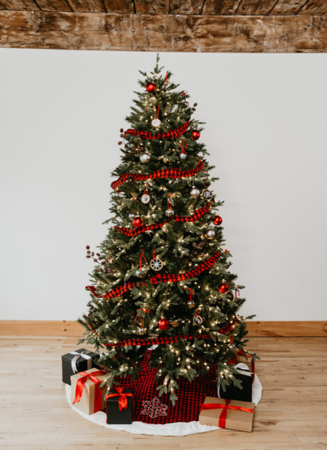 Natale 2022 rosso e verde 470x645 - Colori Albero di Natale 2022: Tendenze Natale 2022 rosso e verde 470x645 - Colori Albero di Natale 2022: Tendenze