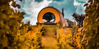 Vini Toscani Rossi e Bianchi: Caratteristiche, Abbinamenti e Tour delle Strade del Vino Vini Toscani Rossi e Bianchi 324x160 - Home