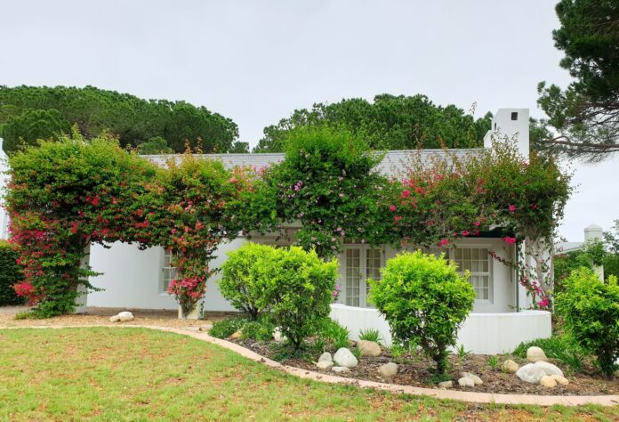 Come risparmiare sulla cura del giardino fai da te